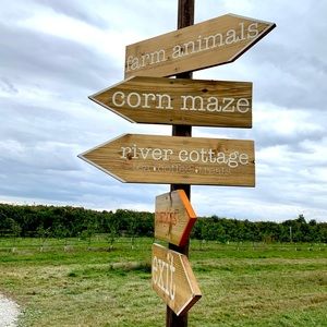 Check out my Instagram! @lizaayythereal